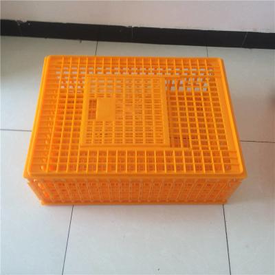 China Oranje PE Landbouw Plastic Kratten voor Kippenoverdracht Te koop