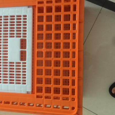 Chine Cage de Transport de Poulet en Plastique de Caisse de Transport de Volaille de Transport à vendre