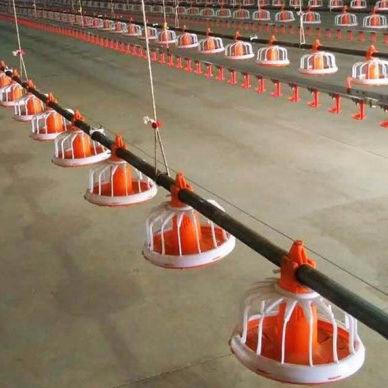 Cina Sistema automatico di alimentazione a vaschetta Mangiatoie per animali attrezzatura da fattoria per mosche soldato nero in vendita