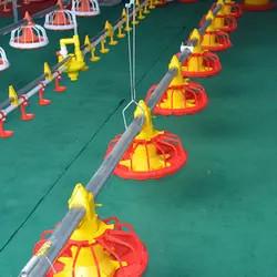China Customized Poultry Chick Line Feeder Broiler House Flooring Tube Chain Conveyor for sale