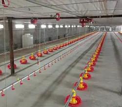 China High Accuracy Chicken Feeding Line 1.5KW System Of Feeding In Poultry for sale