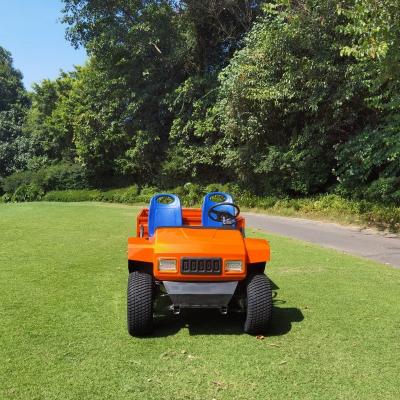 China Excar New Design Model Electric Mini Buggy Car Ulitity Tool Car Housekeeping Car for Sale for sale