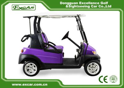 China Purple And Black 2 Passenger Electric Car 48V With 1 Year Warranty for sale
