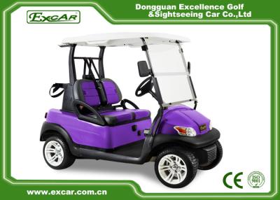 China EU CE Certificate Electric Golf Carts 2 Passenger With Trojan Batter for sale