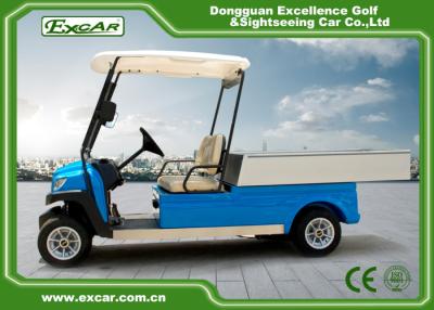 China Carros azuis da companhia de eletricidade do CAD 48V 5KW Acim à venda