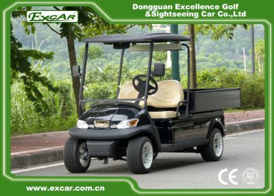 Chine L'utilité électrique de golf de 2 Seater transporte en charrette la voiture avec des erreurs d'hôtel électrique avec la cargaison en aluminium à vendre