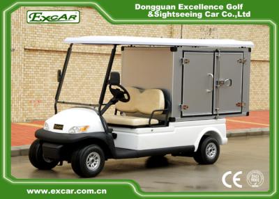 China EXCAR 2 seater Electric Utility Carts Hotel Buggy With Customized Cargo LED Headlight for sale