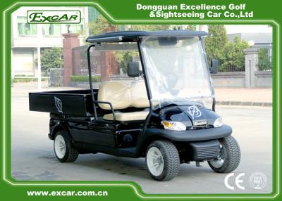 China Black Color Lifted Beverage Food Golf Cart 48V 2 Passenger Hotel Buggy Car for sale