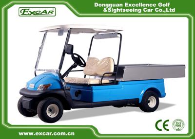 China 2 Seater Hotel Buggy Car , Electric Utility Golf Carts 100% Waterproof Accelerator for sale