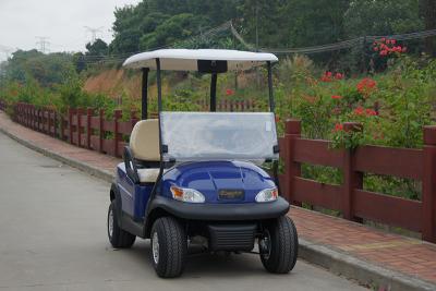 China Classis CE Approved 2 Passenger Golf Cart / Electric Golf Club Cart for sale