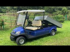 Black Color Lifted Beverage Food Golf Cart 48V 2 Passenger Hotel Buggy Car