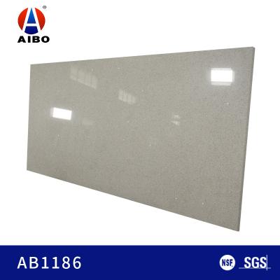 China Grey Glass Surface de plata 2.2g/cm2 18M M para el top de la vanidad del cuarzo en venta