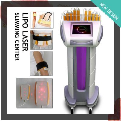 China 10 Paddle Standard Lipo Laser Slimming Machine for Beauty Salon and Centre for sale