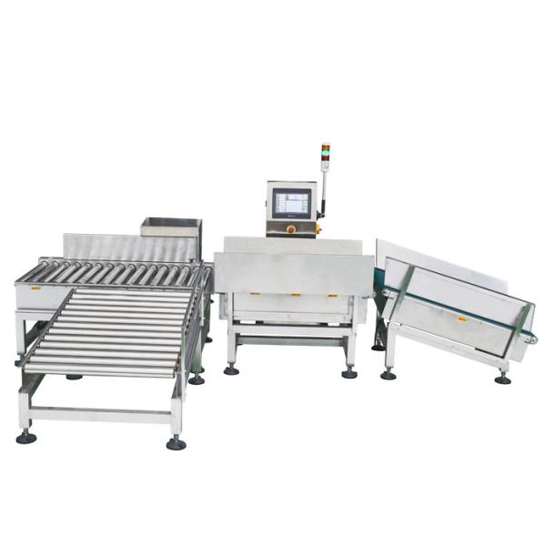 Quality Automatic Conveyor Check Weigher For Packages With Air Rejector for sale
