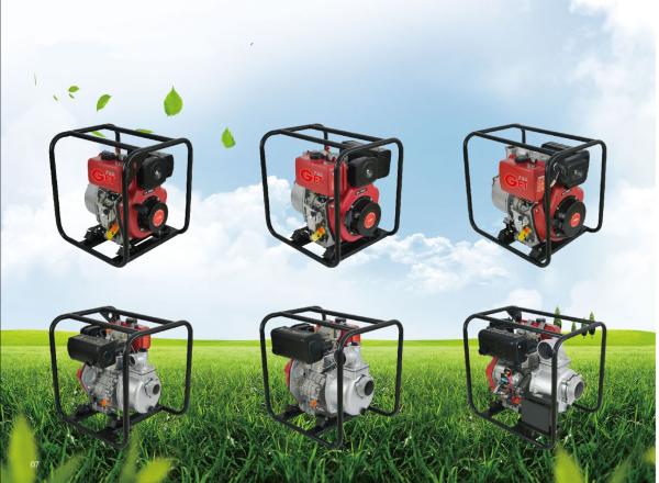 Quality 13.5L Portable Diesel Fire Pump 6.3kw Small Fire Fighting Pump for sale