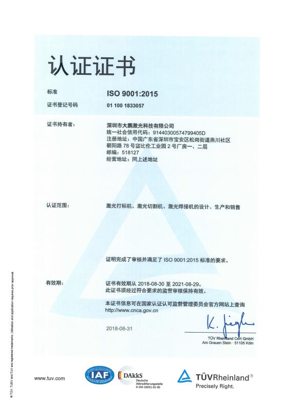 ISO - Shenzhen Dapeng Laser Equipment Co., Ltd.