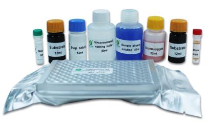 Chine Anticorps ELISA Kit diagnostique 96 Wells/kit de tuberculose de TB ab de moutons de bétail à vendre