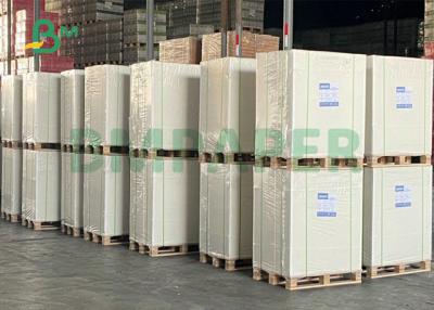 China 34”35”325gsm 350gsm Coated One Side Foodgrade Cardboard For Hamburger Box Making for sale