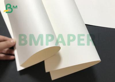 China P1S P2S 150grs To 330grs Poly Coated Plain White Cup Stock paperboard reel for sale