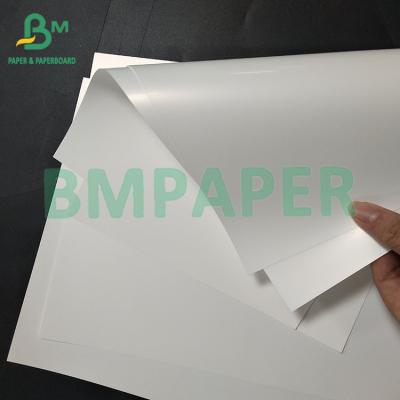 China 100um, 130um PP PET Themal Coating Synthetic Paper Good Printing Paper for sale