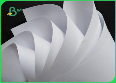 Chine aperçu gratuit d'absorptivité d'encre de papier d'impression offset de 60gsm Woodfree bon disponible à vendre