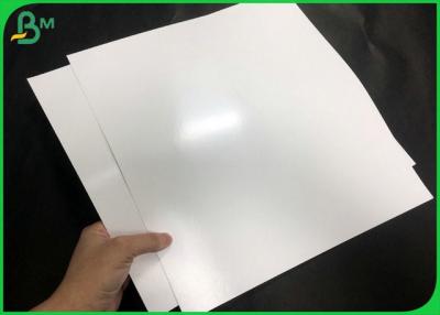 Chine papier enduit simple de gamelle de PE de 336.3*301.1mm avec la certification de FDA à vendre