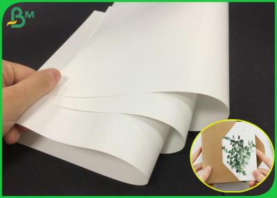 China 80g color blanco Matte Gloss Art Paper Roll para hacer el folleto de compañía en venta