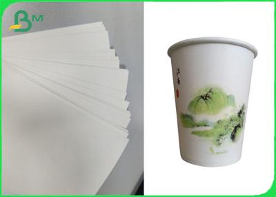 Китай Cupstock покрытое PE основало бумагу Rolls 170GSM - Degradable материал 210GSM продается
