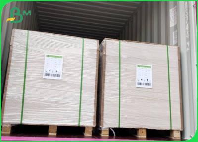 China Virgin Pulp Coated FBB Ivory Board 305g / 345g Offset Printing SGS FSC for sale
