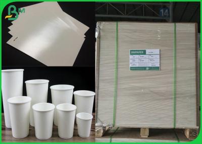 China ECO 210 230 Grammages Cup Base Paper Board Coated Polyethylene For Paper Cup for sale
