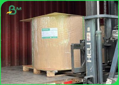 中国 270gサラダ箱のための再生利用できるCompostableクラフトの食品容器板 販売のため
