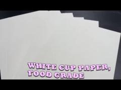 200g Waterproof Customized PE Coated White Cup Paper Raw Material