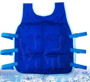China Customized Personal Cooling Vest For Athletes Dogs Clothing Approach for sale
