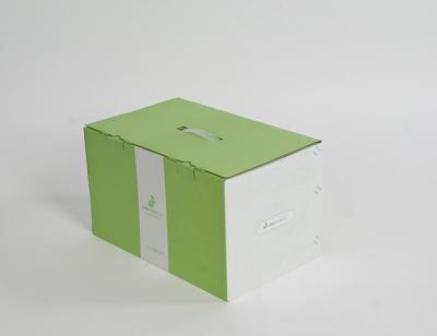Cina Scatole riciclabili di immagazzinamento nel cartone per trasporto d'imballaggio di spedizione di industriale in vendita