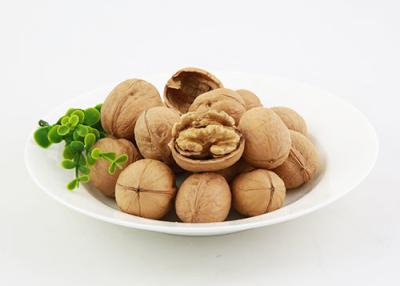 China Walnut In Shell --- Xin 2 for sale