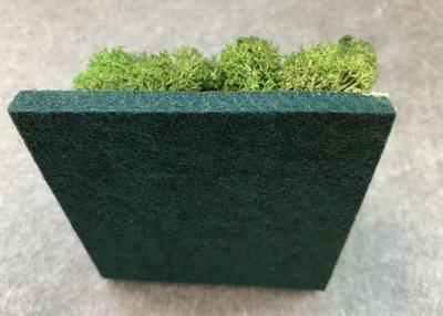 China Grünpflanze-dekorativer akustische Platten-Schallschutz-leichtes einfaches abzuwischen zu verkaufen