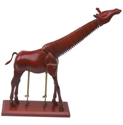 China Education Usage Artist Wooden Manikin Giraffe Type Fully Poseable Mannequin for sale