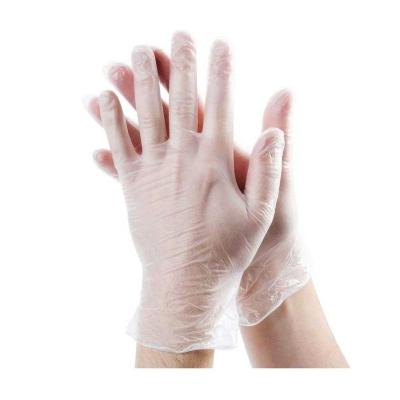 China Food Grade Powder Free Disposable Vinyl Gloves Polyvinyl Chloride Gloves for sale
