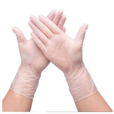 China Powder Free Industry Vinyl Gloves Vinyl Food Gloves for sale