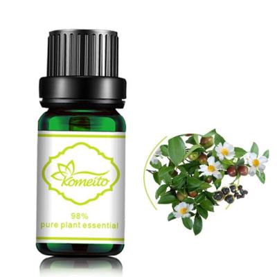 China MSDS Tea Tree 100% Pure Plant Essential Oil For Aroma Diffuser for sale