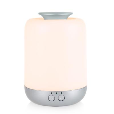 China Professional Battery Powered Nebulizing Essential Oil Diffuser for sale