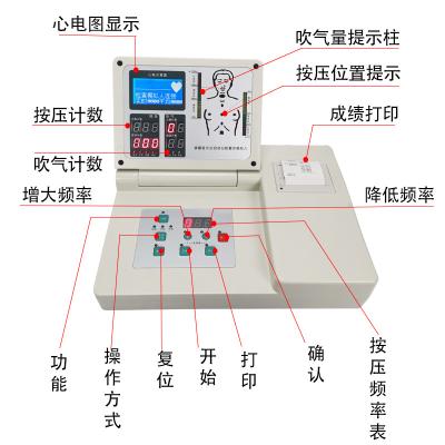 China Intelligent CPR Manikin With Large Screen Lcd Displayer Cpr Training Manikin for sale