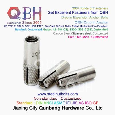 China QBH SS 304 S.S. 316 Stainless Steel Drop In Expansion Anchor Bolts for sale