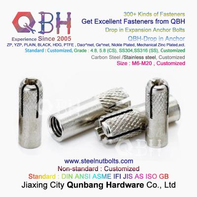 China QBH GB /T 22795 (NP) - 2008 M6-M20 SS304 SS316 Stainless Steel Drop In Expansion Anchor for sale