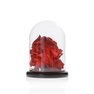 China Bóveda de cristal de la campana de cristal de la pulgada hecha a mano del Borosilicate D3.94xH6.3 en venta