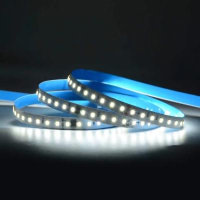 China 12/24V DC Input LED Strip Light With IP40 Or IP65 Waterproof 110-120lm/W 10W 240pcs Per Meter for sale