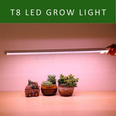 中国 T8 LEDの植物はライトを育てる 販売のため