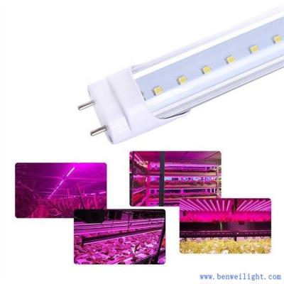 China Indoor Greenhouse T8 LED Plant Grow Lights IP65 AC85-265V Aluminum for sale
