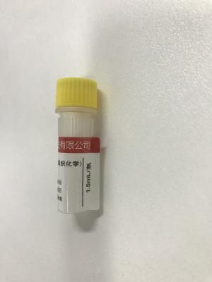 China IHC Primary Antibody Products Ki-67 Immunoassay Antibody Reagent for sale