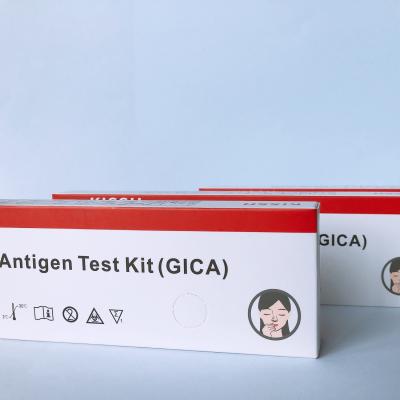 China Equipo rápido GICA de la prueba del antígeno de 15 minutos en venta